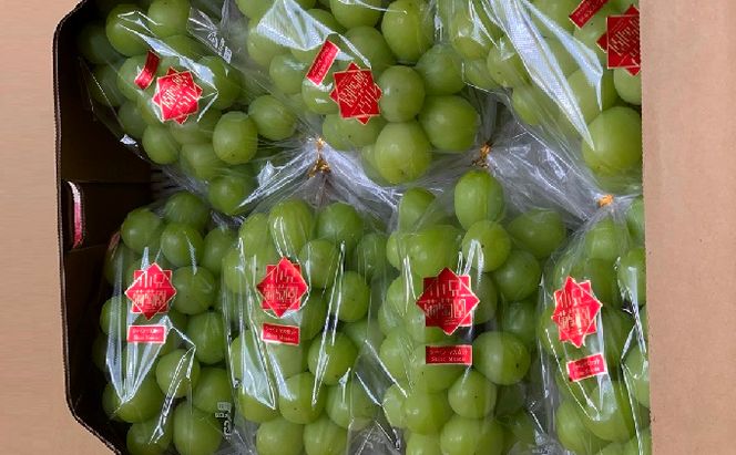 シャインマスカット 約5kg 6～8房 葡萄 フルーツ 岡山 高梁市産 こあに葡萄園 2026年 先行予約 果物類 ぶどう ブドウ 