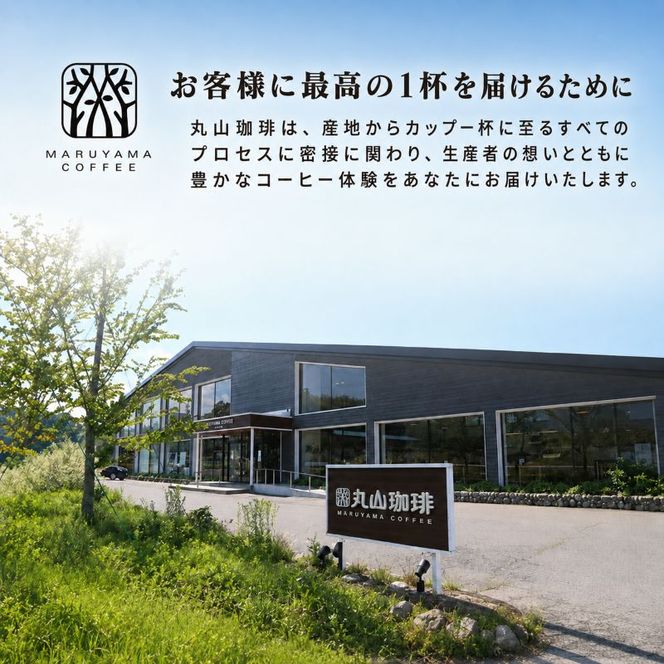 丸山珈琲 コーヒー 粉 詰合せ4袋D オリジナルブレンドコーヒー ツルヤ 粉100g×各1袋 小諸市 お取り寄せ