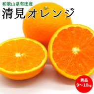 【2027年先行予約】清見オレンジ 秀品 約9～10kg 和歌山県有田産_U6303