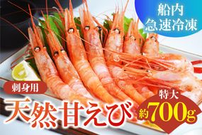 【刺身用 天然 甘えび 特大サイズ 約700g（約30尾） 冷凍】 国産 香住産 鮮度抜群 刺身 唐揚げ 海鮮丼 日本海 水揚げ 鮮度抜群 甘えび 船内 急速冷凍 漁師 新鮮 旨み 人気 ランキング ふるさと納税 返礼品 おすすめ 兵庫県 香美町 香住 柴山 丸近 19-11