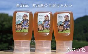 合計900g 天然蜂蜜 国産蜂蜜 非加熱 生はちみつ 岐阜県 美濃市産 春 (蜂蜜300g入りピタッとボトル3本セット)A11 深田養蜂のハチミツ