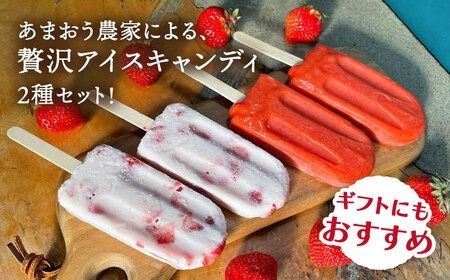 あまおう / あまおう ミルク アイス キャンディ 2種 10本セット 糸島市 / 磯本農園 TANNAL [ATB025]