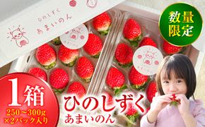 【先行予約】ひのしずく -あまいのん 新鮮 フルーツ 果物 くだもの 苺 いちご イチゴ ストロベリー 旬 熊本 八代 国産 【2026年1月下旬より順次発送】