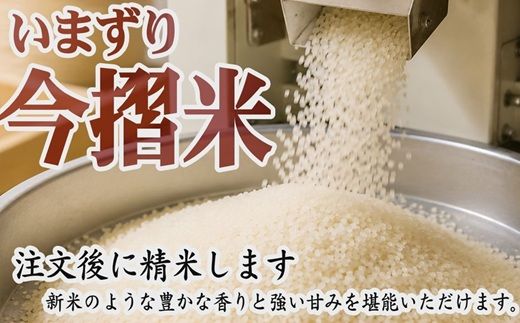 コシヒカリ 精米 10kg (5kg×2) ( 米 お米 こめ コメ おこめ 白米 精米 こしひかり コシヒカリ 令和7年産コシヒカリ 松阪産コシヒカリ 三重県 松阪市)【002109A】