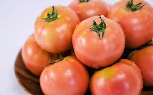 【令和7年度分予約受付】平泉町産 たかはしさんちの完熟トマト 約4kg(M玉サイズ) 【2025年6月下旬～9月下旬頃からの発送】/ トマト とまと 完熟 樹上完熟 野菜 やさい ベジタブル 甘い 濃厚 美味しい リコピン