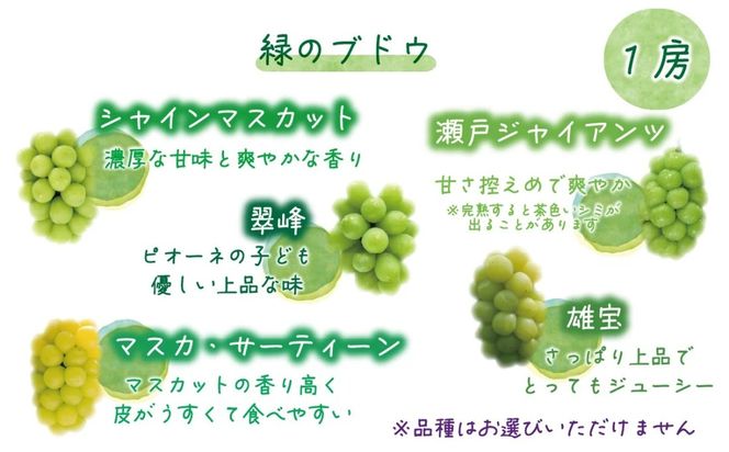 【2026年の先行予約】 岡山 花笑み農園『彩り３種セット』贈答用（1.8kg） 3M-2上 / ぶどう 詰め合わせ 食べ比べ シャインマスカット ピオーネ クイーンニーナ 岡山 真庭市 【hana084-01】