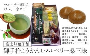 和菓子 御手杵 ようかん マルベリー「桑」三昧 富士峰菓子舗《90日以内に出荷予定(土日祝除く)》茨城県 結城市　 和菓子 スイーツ 詰め合わせ ようかん 緑茶 練りようかん 塩ようかん まんじゅう サブレ 寒天ゼリー 桑の実 ジャム 桑 茶---yuki_fjk_6_s3---