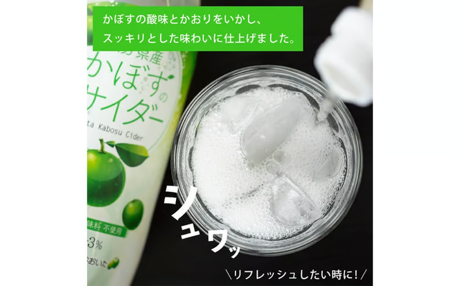 かぼすのサイダー (495ml×24本) かぼす ドリンク ジュース かぼす カボス 炭酸飲料 ノンアルコール ペットボトル 大分県産 特産品 家庭用 大分県 佐伯市 防災 常温 常温保存【HD185】【さいき本舗 城下堂】
