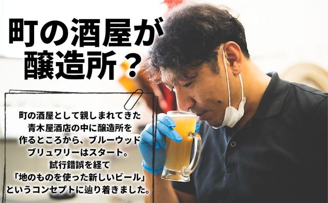 和歌山の地ビールブルーウッドブリュワリー飲み比べ6本セット BY03