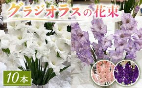 グラジオラスの花束 10本セット ※2026年6月上旬～7月上旬頃に順次発送予定 ※離島への配送不可