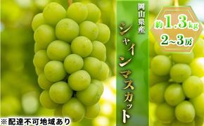 ぶどう 2026年 先行予約 シャイン マスカット 約1.3kg 2～3房 ブドウ 葡萄  岡山県産 国産 フルーツ 果物 ギフト