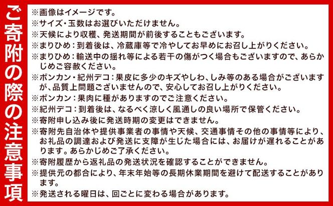 【発送月固定定期便】紀州和歌山県産 旬のフルーツ (いちご・ポンカン・紀州デコ) 全3回 選べる内容量 Mセット Sセット 魚鶴商店《1月上旬-3月下旬頃出荷》 和歌山県 日高町 まりひめ いちご ポンカン 紀州デコ 不知火 定期便 フルーツ 果物 定期便---wsh_uotteim_26_51000_jun3---