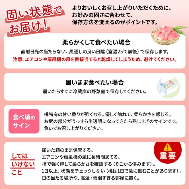 桃 先行予約 浅間水蜜桃 なつっこ 約5kg 秀品 13～22玉 贈答品 フルーツ 果物 白桃 甘い 冷蔵