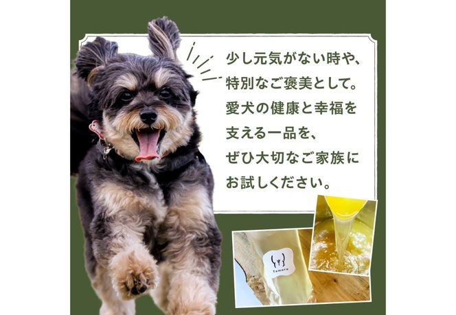 鹿の滋養スープ　贅沢5パックセット ペット 無添加 手作り スープ ペットフード ボーンブロス 鹿肉 鹿の骨 ペット用 ご褒美 山梨 富士吉田