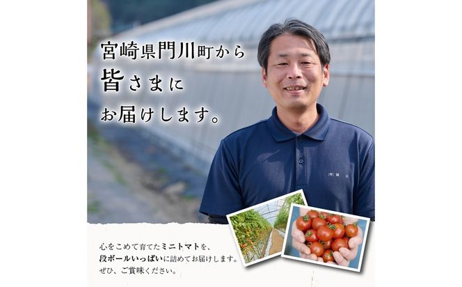 ＜先行予約受付中！2025年12月から順次発送予定＞＜期間限定＞ミニトマト(約1.5kg) 野菜 とまと フルーツトマト サマー千果 アイコ サラダ 【グーファーム】【GF-4】