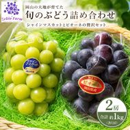 ぶどう 食べ比べセット 2房 合計 1kg 前後 葡萄 フルーツ 岡山 高梁市産 ぜきお農園 ぶどうclub 2026年 先行予約 果物類 マスカット 果物 