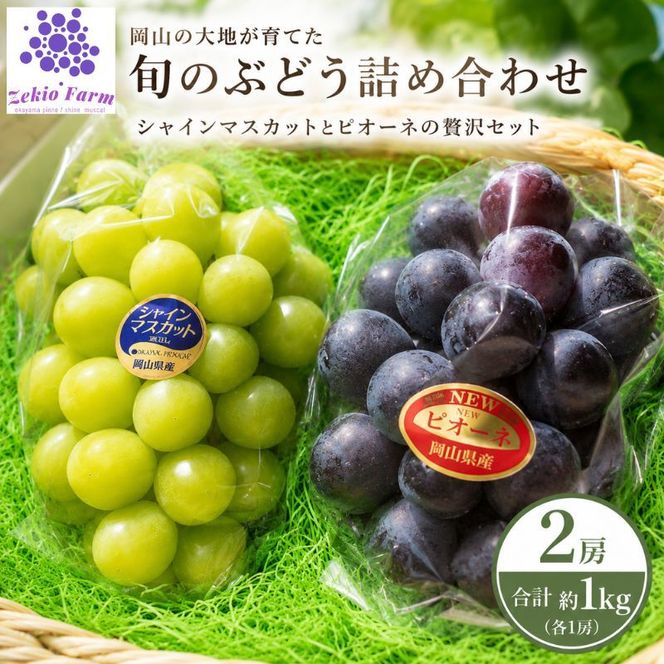 ぶどう 食べ比べセット 2房 合計 1kg 前後 葡萄 フルーツ 岡山 高梁市産 ぜきお農園 ぶどうclub 2026年 先行予約 果物類 マスカット 果物 