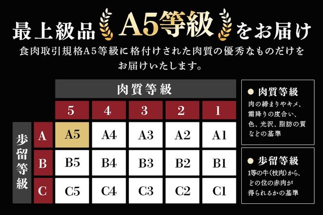 飛騨牛 A5等級「飛騨牛食べ比べセット 豪華14品目」冷蔵配送・焼肉・しゃぶしゃぶ・すき焼き 44