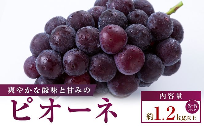 【小分けパック入り】パクパク食べられる・ピオーネパック　約1.2kg以上 372013_T006-806J