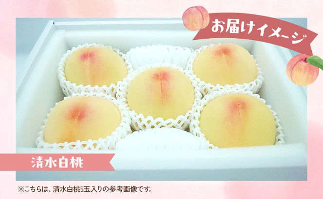 桃 2026年 数量限定 清水白桃 糖度12度以上 5-6玉 計1.5kg以上 岡山県 赤磐市産
