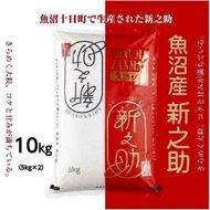 令和7年産 魚沼産 新之助 5kg×2 米 お米 コメ プレミアム米 新潟 魚沼 魚沼産 白米 送料無料 新潟県産 精米 産直 産地直送 契約農家 お取り寄せ 魚沼三昧 川治米店 新潟県 十日町市 大粒 甘み 