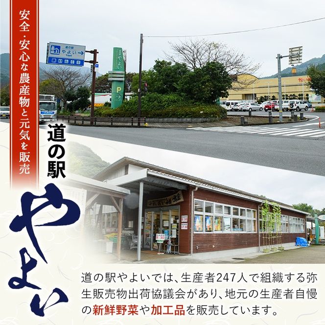 かぼす4kg(種あり) フルーツ 果物 柑橘 道の駅やよい 期間限定 大分県 佐伯市 【EN15】【道の駅やよい】