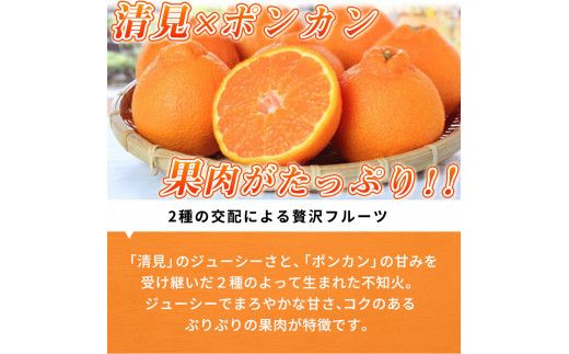 【先行予約】紀州 有田産 不知火 (しらぬひ) 2.5kg /みかん 不知火 和歌山 フルーツ 有田 果物 ※2027年2月中旬頃〜3月中旬頃に順次発送予定（お届け日指定不可） ※離島への配送不可 【uot794】