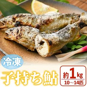 冷凍子持鮎(約1kg・10～14匹) 鮎 冷凍 子持ち鮎 小分け 国産 門川町産 宮崎県産 塩焼き あゆ 川魚 養殖 香魚 【ME-03】【米良水産】