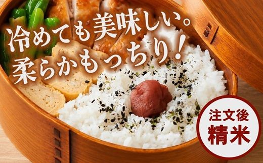 ミルキークイーン 精米 10kg (5kg×2) ( 米 お米 こめ コメ おこめ 白米 精米 ミルキークイーン10kg 令和7年産ミルキークイーン 三重県 松阪市 ) 【002414】