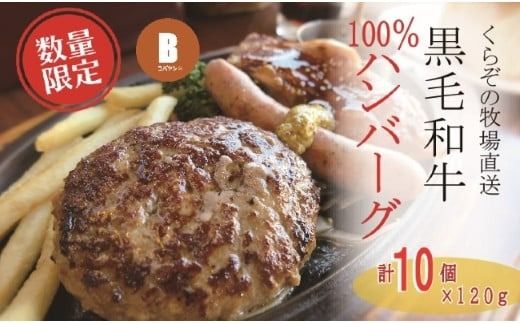 [宮崎県産黒毛和牛100%]黒毛和牛専門店の贅沢ハンバーグ(計10個)(ふるさと納税 訳あり 国産 牛肉 黒毛和牛 ハンバーグ 冷凍 特別提供 送料無料)