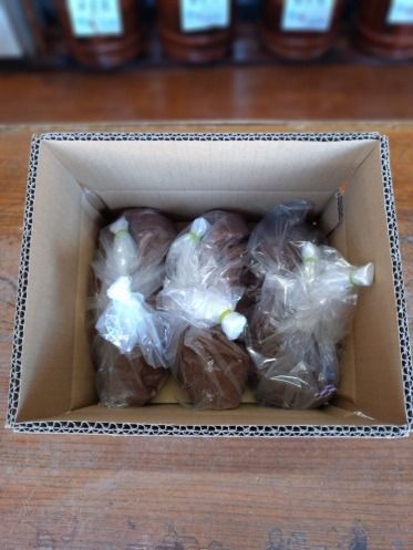 十割糀味噌 3kg箱｜味噌 みそ 大豆 米 調味料 信州伊那産 十割糀味噌 ミソ 国産 長野県産 信州産 コク【020-54】