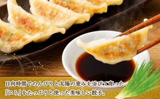 ＜にら農家の『にらぎょうざ』 50個（約240g （10個）×5パック）＞翌月末迄に順次出荷 にらぎょうざ にら餃子 にらギョウザ ニラ餃子 餃子 ぎょうざ ギョウザ 惣菜 おかず 韮 ニラ 冷凍
