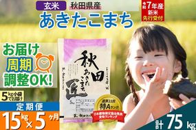 【玄米】＜令和7年産 新米予約＞ 《定期便5ヶ月》秋田県産 あきたこまち 15kg (5kg×3袋)×5回 15キロ お米【お届け周期調整 隔月お届けも可】 新米|02_snk-020705s