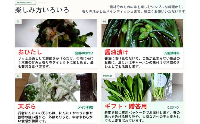 【令和9年産先行予約】＼訳あり／行者にんにく 忍 500g入り 1箱(70枚～75枚)《出荷時期：2027年5月中旬頃〜》株式会社ForestDoor  (Ce-014)