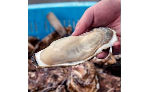 【H28いわて特産品コンクール入賞】大槌の牡蛎燻製《山椒オイル》L 180g×1個【0tsuchi00352-202412】