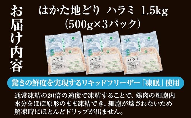【ふるさと納税】はかた地どり ハラミ 1.5kg 500g×3パック 小分け 福岡県産 地鶏 鶏肉 冷凍 国産 はらみ とり肉 希少部位 チキン 炒め物 鉄板焼き 塩焼き 串焼き 焼き鳥 おつまみ 家飲み おうちごはん お取り寄せ グルメ ギフト