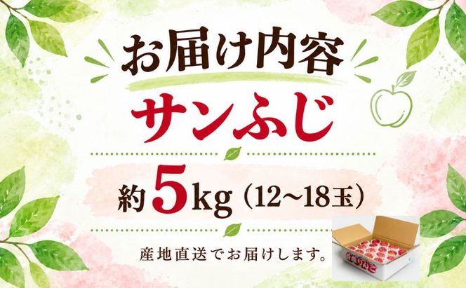 りんご サンふじ 青森県産 約 5kg (12～18玉） フルーツ 果物 ふじ 産地直送 お取り寄せ 送料無料 青森県 鰺ヶ沢町 《木村りんご園》