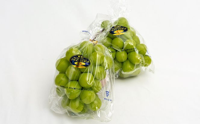 ぶどう 2026年 先行予約 シャイン マスカット 晴王 2房 （合計約1.1kg） 化粧箱入り マスカット ブドウ 葡萄  岡山県産 国産 フルーツ 果物 ギフト