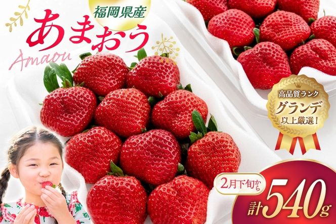 いちご あまおう 270g 2p 計540g【2月後半-3月後半発送】 2027年発送 先行予約 [hurrah. 福岡県 宇美町 um40bjm200003] イチゴ 苺 フルーツ 果物 果実 甘い あまい グランデ