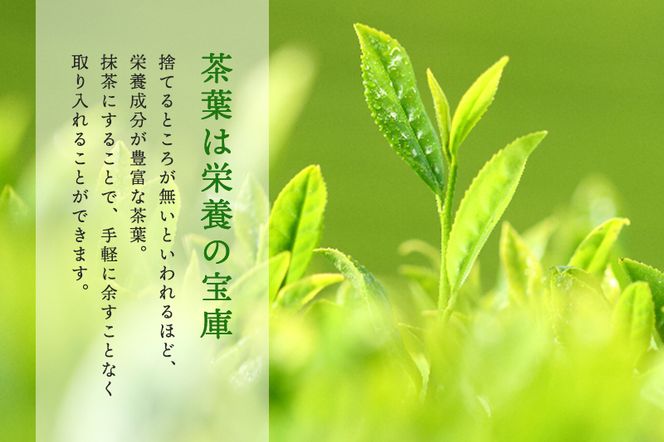 抹茶御手前セット（静香の昔30g缶入）　〈宇治抹茶 抹茶 茶 緑茶  粉末 抹茶碗 セット 茶道 お稽古 石臼挽き 飲料 工芸品 加工食品 日用品〉 飲料類 お茶 