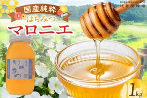 【国産純粋 マロニエはちみつ 1kg 瓶】国産 純粋 マロニエ はちみつ ハチミツ 蜂蜜 栃の木 やさしい 香り まろやか パン ヨーグルト おすすめ 兵庫県 香美町 辻井養蜂場 81-07