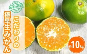 【2026年秋頃発送予約分】＼光センサー選別／【農家直送】こだわりの極早生みかん 約10kg 【数量限定】 有機質肥料100% サイズ混合 ※2026年10月～11月に順次発送予定（お届け日指定不可）【nuk135E】