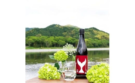 日本酒 酔鯨飲み比べセット 純米大吟醸弥（Ya）象（Sho）丞（Joh）寅（Tora）兵庫山田錦50% 純米吟醸高育54 720ml 各1本 合計6本 ／ お酒【株式会社とさもん】
