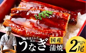 kgp0039 国産うなぎ 約125g×2尾 秘伝のたれ 蒲焼 鰻 ウナギ 有頭 炭火焼き 備長炭 手焼き
