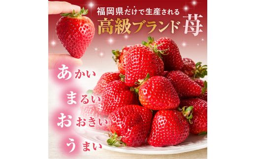 【先行予約】オーガニックあまおう 「いせいちご」 おまかせ4パック（大粒）【伊世いちご畑】_HA1019