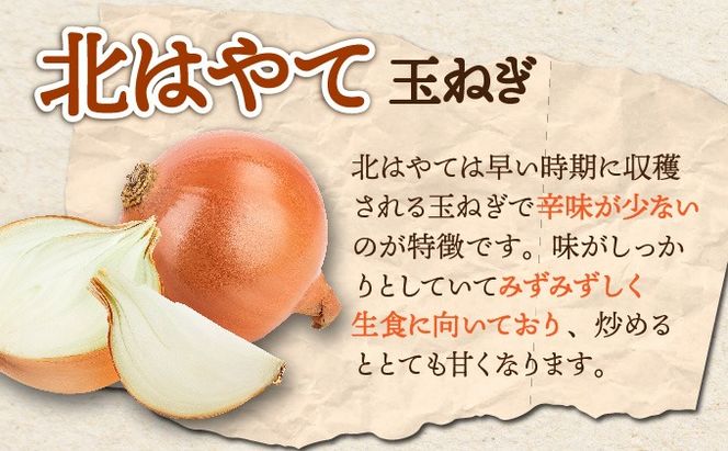 【 2025年 発送 】 先行予約 北海道 玉ねぎ 各2.5kg 計 約 5kg M-L混合 北はやて アーリーレッド タマネギ たまねぎ 玉葱 玉ネギ レッドオニオン オニオン 伊達野菜  野菜 新鮮 採れたて 産地直送 木須農園 送料無料