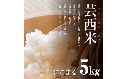 KNK015　芸西米（げいせいまい） "にこまる" 5kg 令和7年 高知の温暖な気候で育った芸西米 ※お申込み後に精米したての コメ を出荷いたします。令和7年産 米 新米 白米 お米 美味しい もっちり 柔らかい 国産 高知県産 故郷納税 12000円