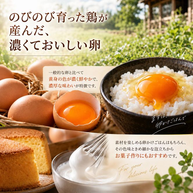 美山の平飼いたまご 80個 | 卵 タマゴ 平飼い 卵かけごはん お菓子作り 国産 南丹市