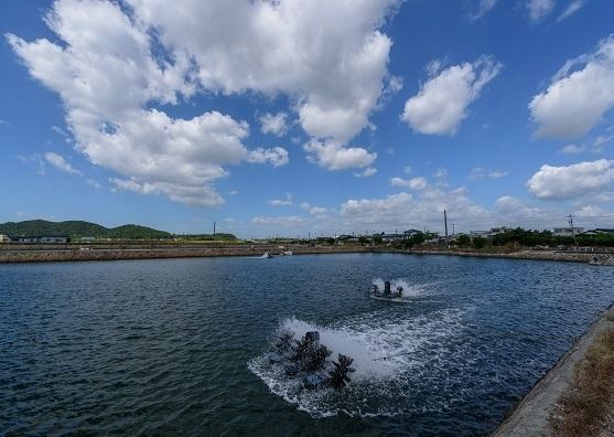 D037 車海老西京漬と活き〆冷凍車海老詰め合わせセット