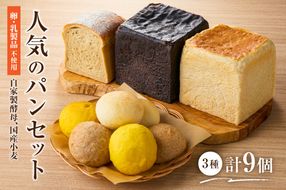 ns100-001 自家製酵母、国産小麦、(卵・乳製品を使わずに焼く)人気のパンセット